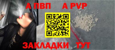 стафф Донской