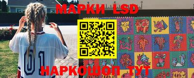 стафф Донской