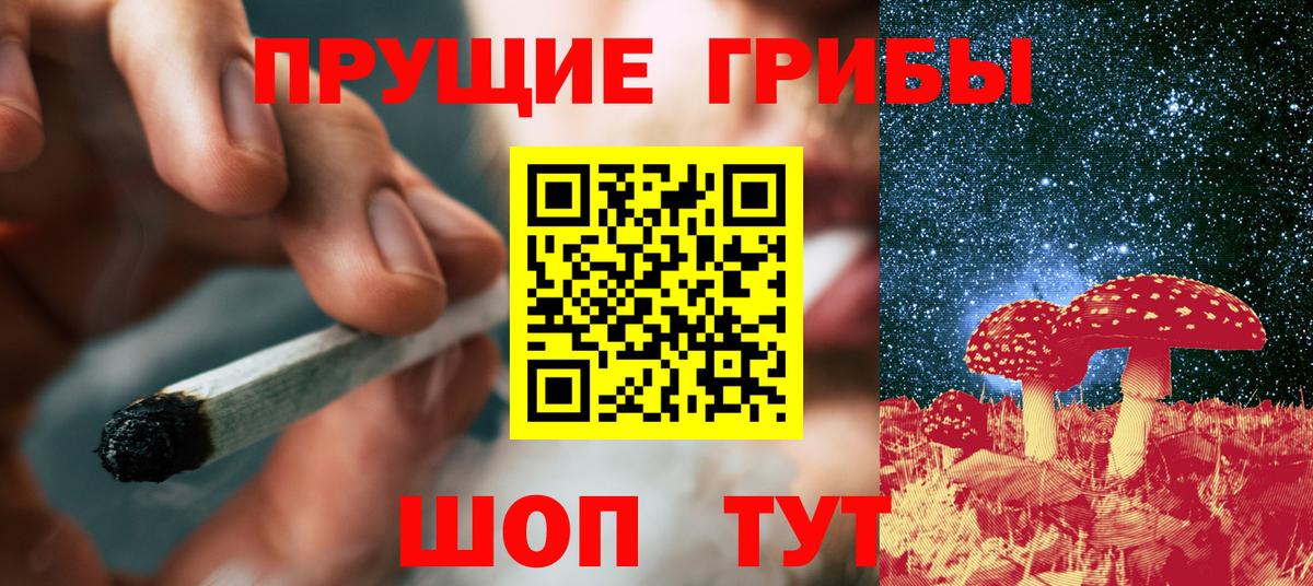 Псилоцибиновые грибы прущие грибы  Вход с VPN  магазин    Нефтекумск 